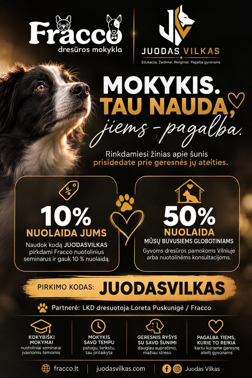 Fracco ir Juodas vilkas partnerystė