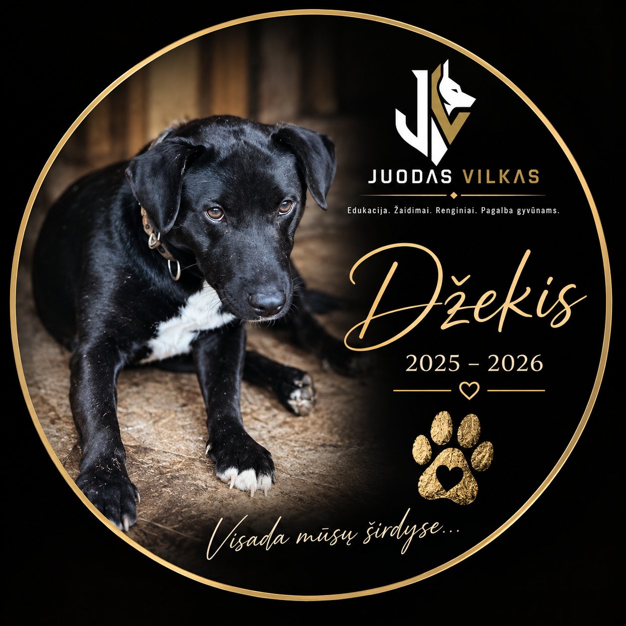 Džekis – Juodas Vilkas
